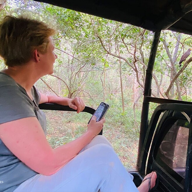 wilpattu safari 101 min