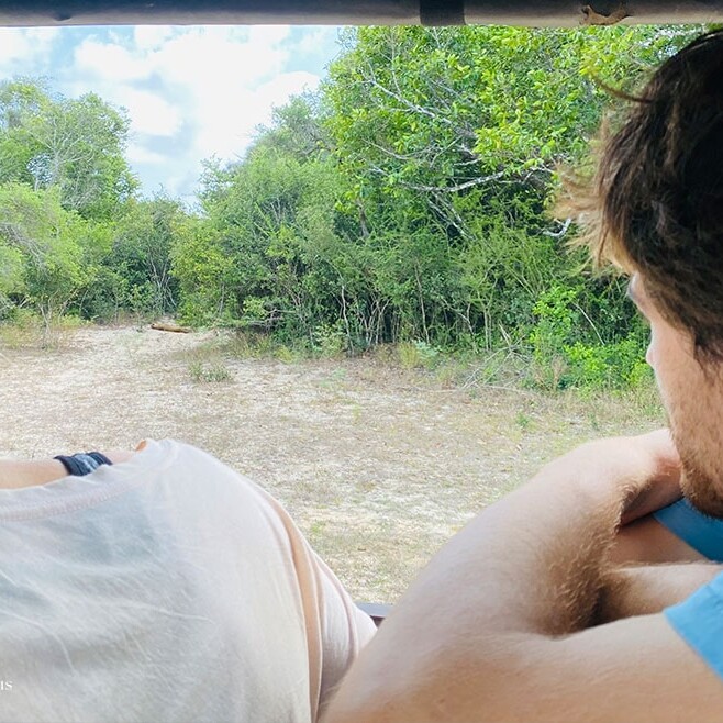 wilpattu safari 121 min