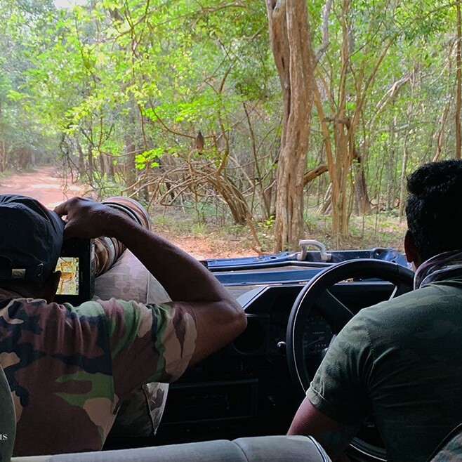 wilpattu safari 76 min