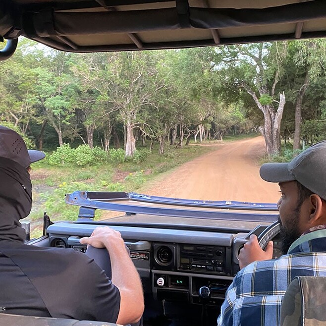 wilpattu safari 89 min