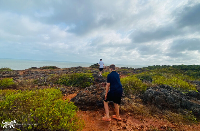 wilpattu safari 205 min